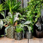 Keramični lonec Vintage 07.102.13 - komplet